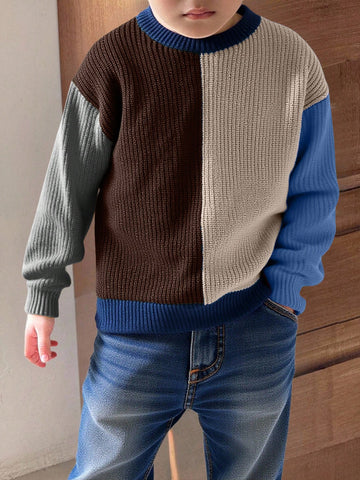 Boys Thick Knit Sweater