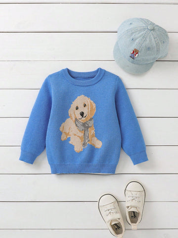 Baby Boy Dog sweater